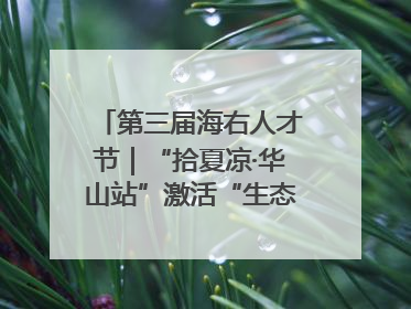 第三届海右人才节｜“拾夏凉·华山站”激活“生态聚才”强磁场