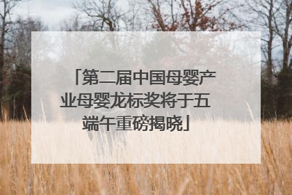 第二届中国母婴产业母婴龙标奖将于五端午重磅揭晓