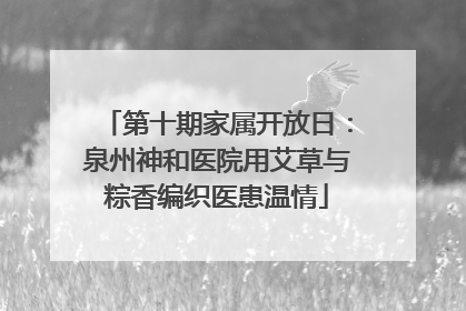 第十期家属开放日：泉州神和医院用艾草与粽香编织医患温情