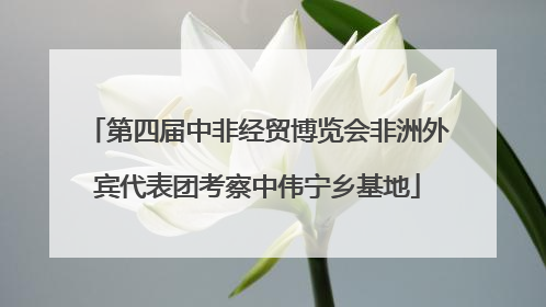 第四届中非经贸博览会非洲外宾代表团考察中伟宁乡基地