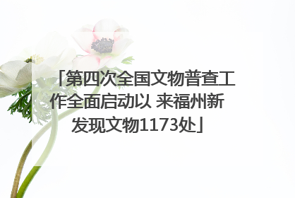 第四次全国文物普查工作全面启动以 来福州新发现文物1173处
