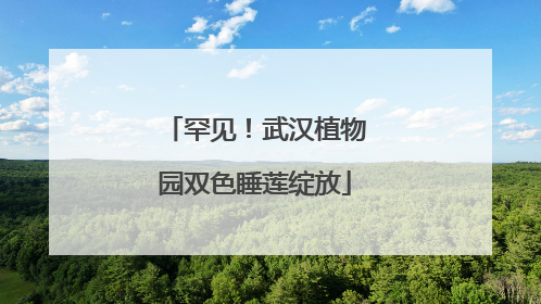 罕见！武汉植物园双色睡莲绽放