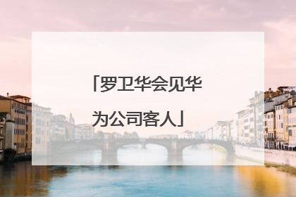 罗卫华会见华为公司客人