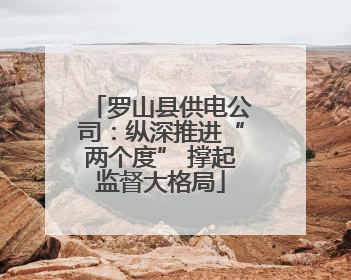 罗山县供电公司：纵深推进“两个度” 撑起监督大格局