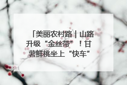 美丽农村路｜山路升级“金丝带”！甘薯鲜桃坐上“快车”，开去大市场