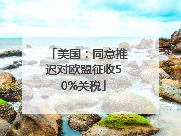 美国：同意推迟对欧盟征收50%关税