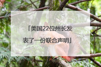 美国22位州长发表了一份联合声明