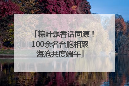 粽叶飘香话同源！100余名台胞相聚海沧共度端午