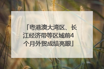 粤港澳大湾区、长江经济带等区域前4个月外贸成绩亮眼