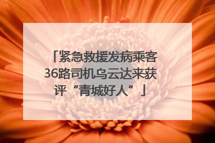 紧急救援发病乘客 36路司机乌云达来获评“青城好人”