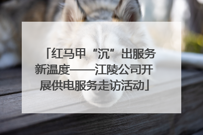 红马甲“沉”出服务新温度——江陵公司开展供电服务走访活动