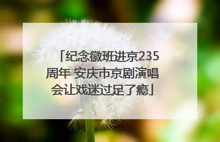 纪念徽班进京235周年 安庆市京剧演唱会让戏迷过足了瘾
