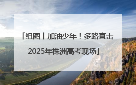 组图丨加油少年！多路直击2025年株洲高考现场