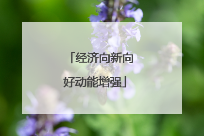 经济向新向好动能增强