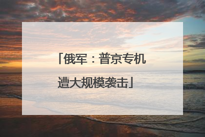 俄军：普京专机遭大规模袭击