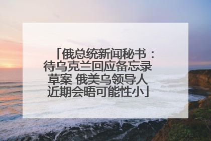 俄总统新闻秘书：待乌克兰回应备忘录草案 俄美乌领导人近期会晤可能性小