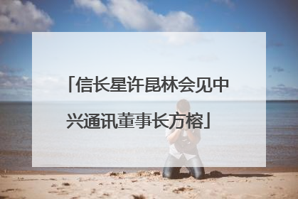 信长星许昆林会见中兴通讯董事长方榕