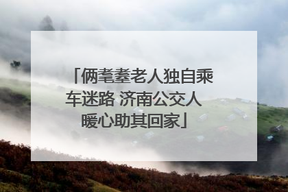 俩耄耋老人独自乘车迷路 济南公交人暖心助其回家