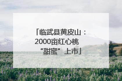 临武县黄皮山：2000亩红心桃“甜蜜”上市