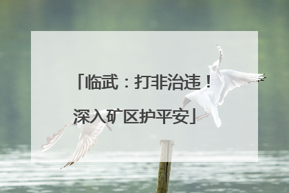 临武：打非治违！深入矿区护平安