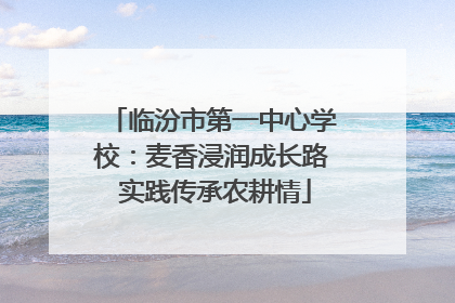 临汾市第一中心学校：麦香浸润成长路 实践传承农耕情