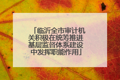 临沂全市审计机关积极在统筹推进基层监督体系建设中发挥职能作用