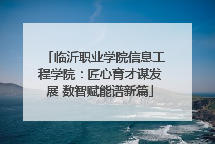 临沂职业学院信息工程学院：匠心育才谋发展 数智赋能谱新篇