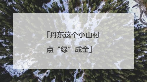 丹东这个小山村点“绿”成金