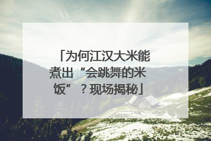为何江汉大米能煮出“会跳舞的米饭”？现场揭秘