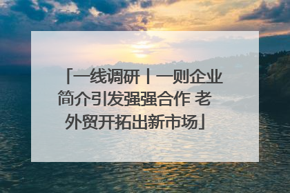 一线调研丨一则企业简介引发强强合作 老外贸开拓出新市场