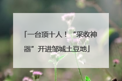 一台顶十人！“采收神器”开进邹城土豆地