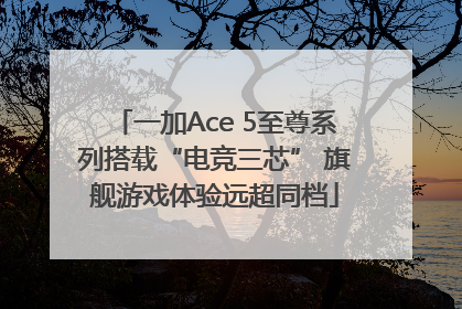 一加Ace 5至尊系列搭载“电竞三芯” 旗舰游戏体验远超同档