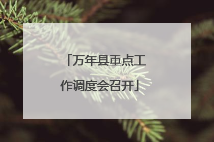 万年县重点工作调度会召开