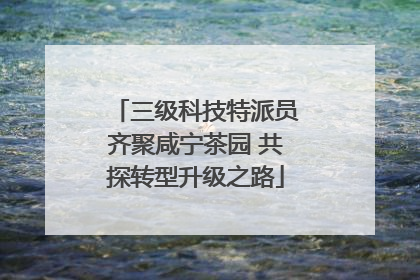 三级科技特派员齐聚咸宁茶园 共探转型升级之路
