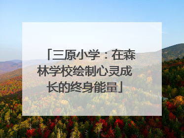 三原小学：在森林学校绘制心灵成长的终身能量
