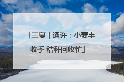 三夏｜通许：小麦丰收季 秸秆回收忙