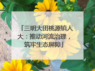 三明大田桃源镇人大：推动河流治理，筑牢生态屏障