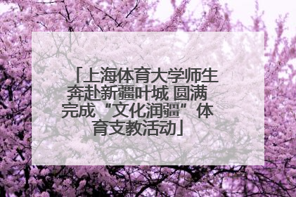 上海体育大学师生奔赴新疆叶城 圆满完成“文化润疆”体育支教活动