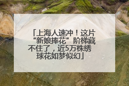 上海人速冲！这片“新娘捧花”阶梯藏不住了，近5万株绣球花如梦似幻