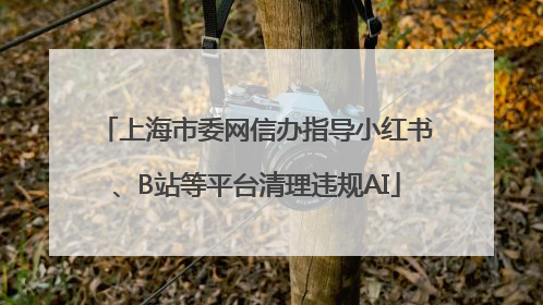 上海市委网信办指导小红书、B站等平台清理违规AI