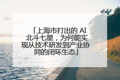 上海市打出的 AI 北斗七星，为何能实现从技术研发到产业协同的闭环生态