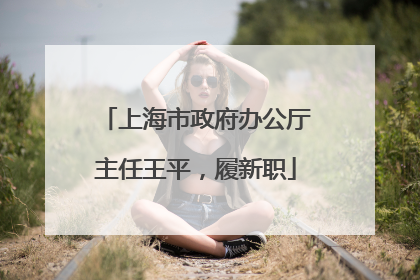 上海市政府办公厅主任王平，履新职