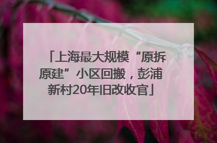 上海最大规模“原拆原建”小区回搬，彭浦新村20年旧改收官