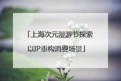 上海次元漫游节探索以IP重构消费场景