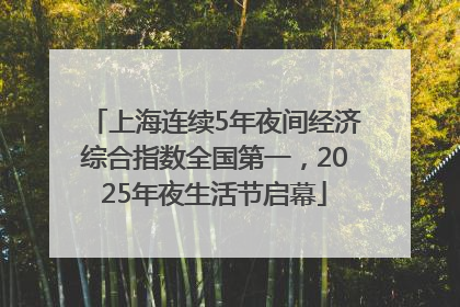 上海连续5年夜间经济综合指数全国第一，2025年夜生活节启幕