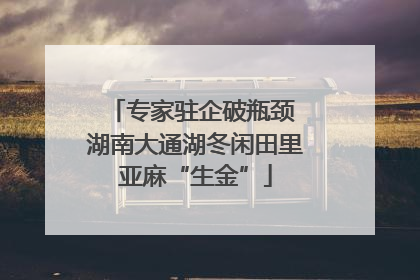 专家驻企破瓶颈 湖南大通湖冬闲田里亚麻“生金”