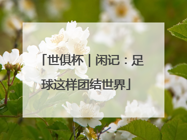 世俱杯｜闲记：足球这样团结世界
