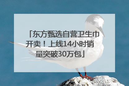 东方甄选自营卫生巾开卖！上线14小时销量突破30万包