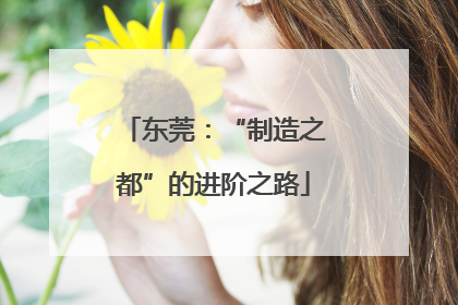 东莞：“制造之都”的进阶之路