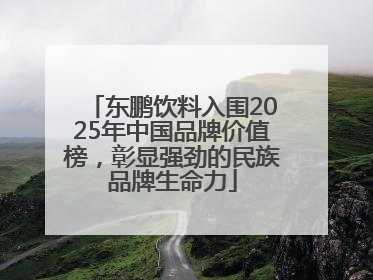 东鹏饮料入围2025年中国品牌价值榜，彰显强劲的民族品牌生命力